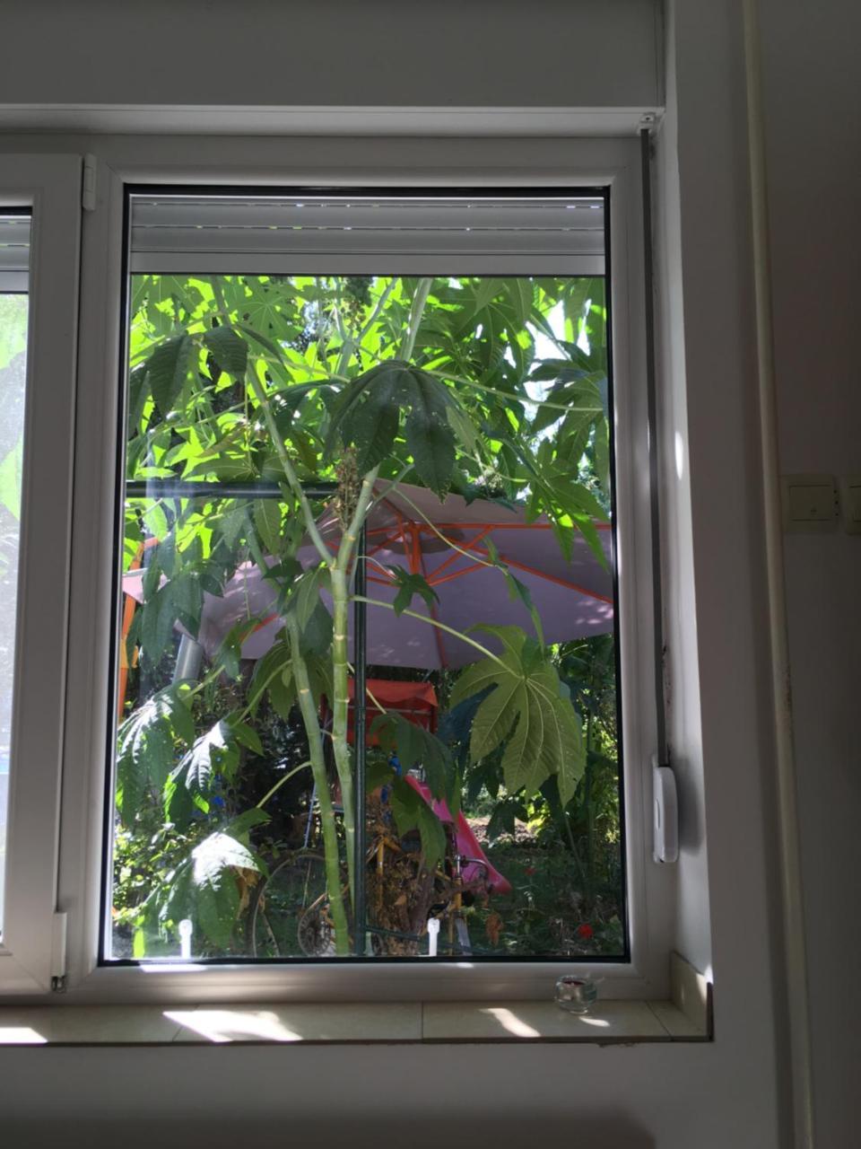 Apartment Escape Novi Sad Ngoại thất bức ảnh