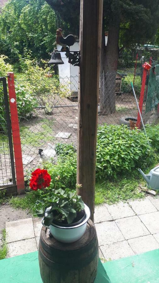 Apartment Escape Novi Sad Ngoại thất bức ảnh
