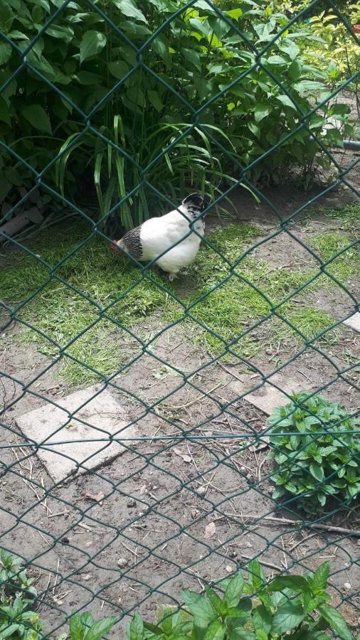 Apartment Escape Novi Sad Ngoại thất bức ảnh