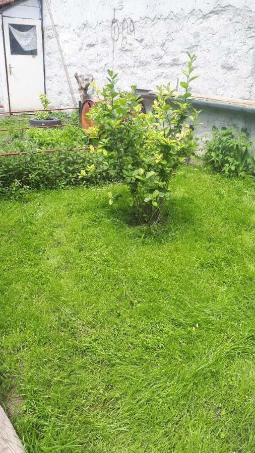 Apartment Escape Novi Sad Ngoại thất bức ảnh